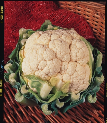 Picture of Organic Cauliflower Belot F1